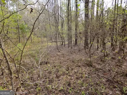 0 Tract 2 Us Highway 341 N, Musella, GA 31066