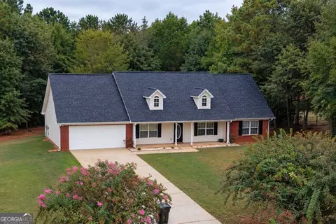 316 Cobb Ct, Hampton, GA 30228 photo 2
