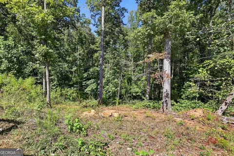 Exterior - 2421 E Silver Shoals Rd, Toccoa, GA 30577 photo 3 of 4
