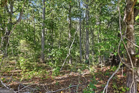 2375 E Silver Shoals Rd #TRACT 2, Toccoa, GA 30577 photo 8