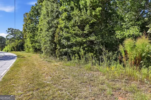 2375 E Silver Shoals Rd #TRACT 2, Toccoa, GA 30577 photo 4