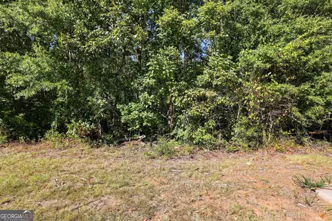 2375 E Silver Shoals Rd #TRACT 2, Toccoa, GA 30577 photo 7