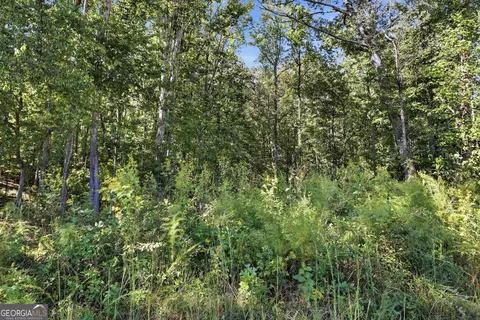 2375 E Silver Shoals Rd #TRACT 2, Toccoa, GA 30577 photo 5