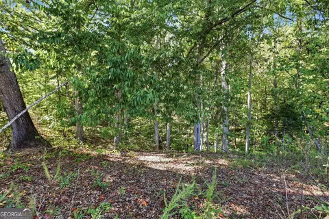 2375 E Silver Shoals Rd #TRACT 2, Toccoa, GA 30577 photo 6