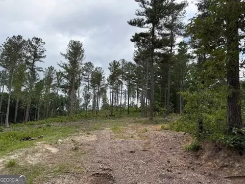 0 Mt Sinai #LOT 8, Lula, GA 30554 photo 24