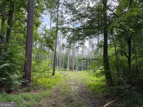 0 Mt Sinai #LOT 8, Lula, GA 30554 photo 33