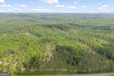 0 Mt Sinai #LOT 8, Lula, GA 30554 photo 18
