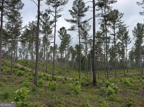 0 Mt Sinai #LOT 8, Lula, GA 30554 photo 23