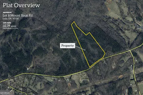 0 Mt Sinai #LOT 8, Lula, GA 30554
