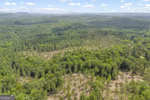 0 Mt Sinai #LOT 8, Lula, GA 30554 photo 14