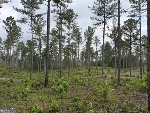 0 Mt Sinai #LOT 8, Lula, GA 30554 photo 21