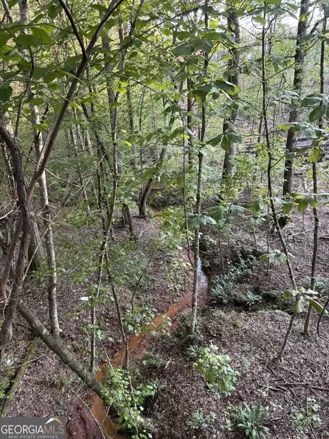 15 62 Acres Carlisle Gap Rd, Woodland, GA 31836