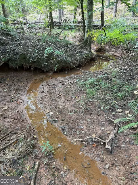 17 Acres Carlisle Gap Rd, Woodland, GA 31836