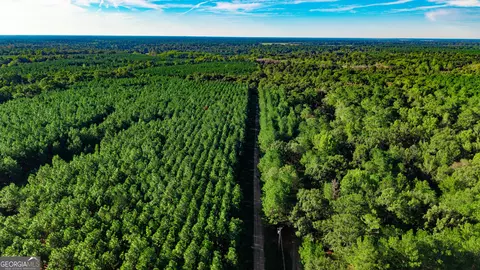 Other - 490 Middle River Rd, Americus, GA 31709 photo 9 of 22