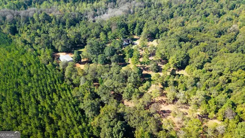 View/Area - 490 Middle River Rd, Americus, GA 31709 photo 3 of 4