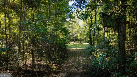 Other - 490 Middle River Rd, Americus, GA 31709 photo 14 of 22