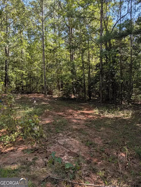 0 Chappell Mill Chappell Mill Rd, Milner, GA 30257 photo 8