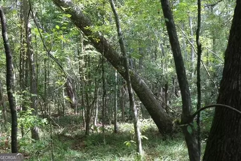 196 Gumlog Rd, Kite, GA 31049 photo 13