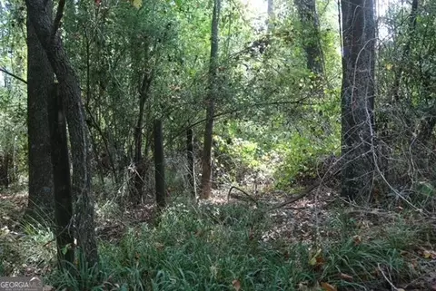 196 Gumlog Rd, Kite, GA 31049 photo 12