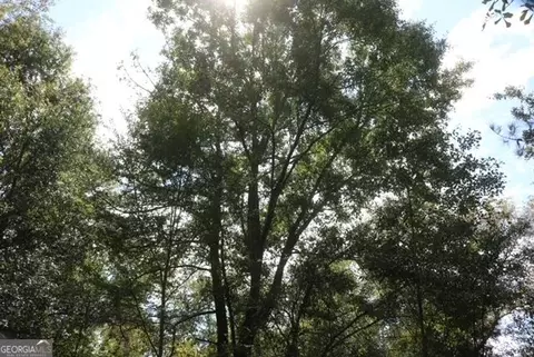 196 Gumlog Rd, Kite, GA 31049 photo 5