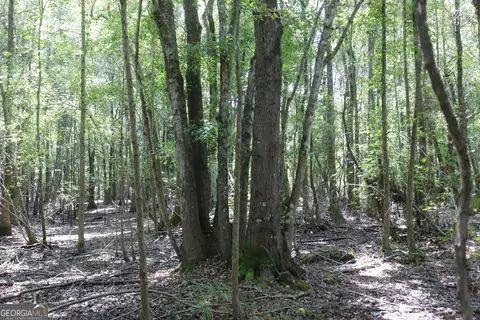 196 Gumlog Rd, Kite, GA 31049 photo 8