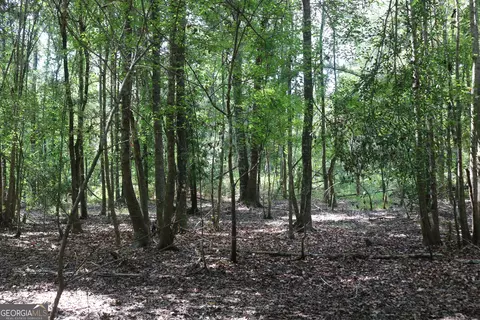 196 Gumlog Rd, Kite, GA 31049 photo 9