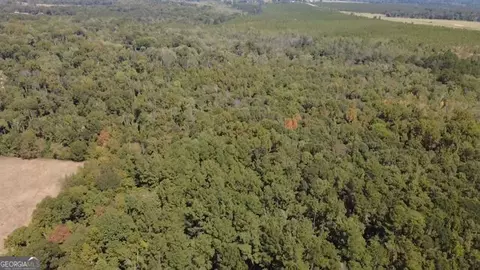 196 Gumlog Rd, Kite, GA 31049 photo 18