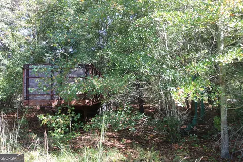 196 Gumlog Rd, Kite, GA 31049 photo 15