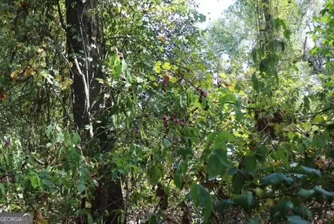 196 Gumlog Rd, Kite, GA 31049 photo 11