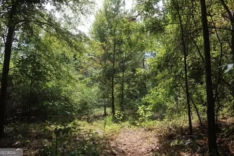 196 Gumlog Rd, Kite, GA 31049 photo 7
