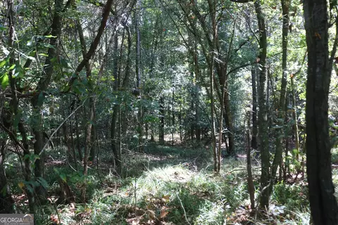 196 Gumlog Rd, Kite, GA 31049 photo 14