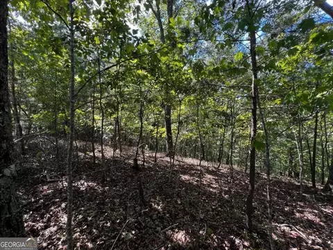 1407 Foxhound Trl NE, Ranger, GA 30734
