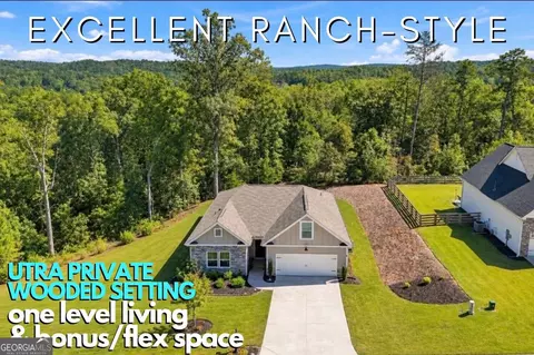 437 Tom Avery Dr, Ball Ground, GA 30107