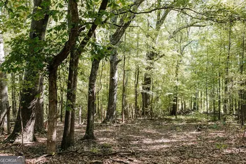 0 Lundburg Rd, Washington, GA 30673