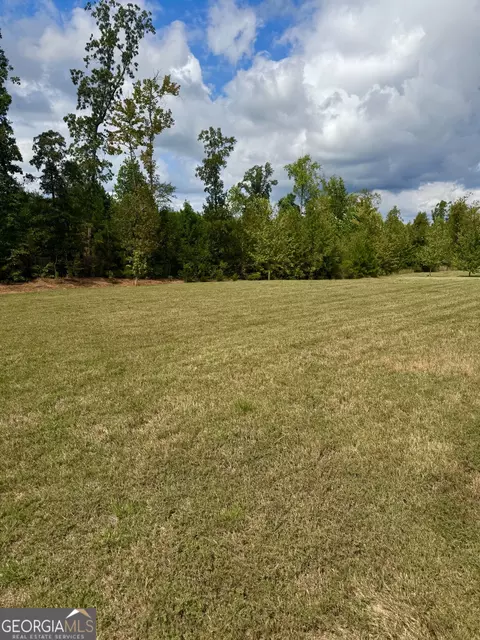 Exterior - 312 Basel Way, Hampton, GA 30228 photo 3 of 3