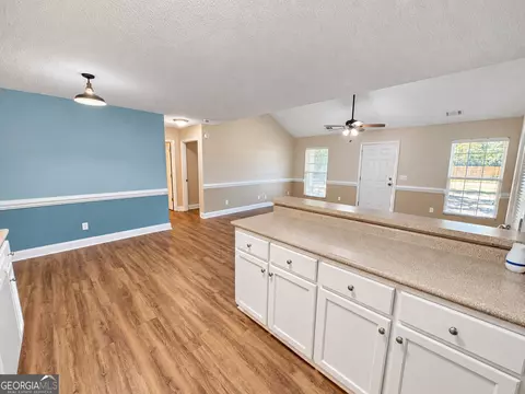 Other - 130 Pine St, Pulaski, GA 30451 photo 2 of 8