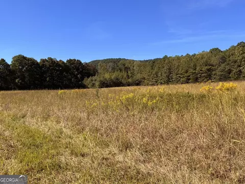 36 55 Acres Back Valley Rd, Lyerly, GA 30730