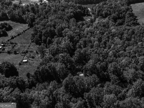 View/Area - 287 Dumas Rd, Forsyth, GA 31029 photo 2 of 5
