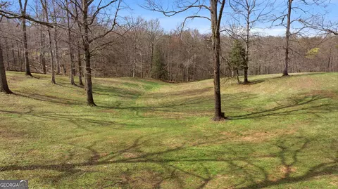 Other - 401 Herrin Rd, Cornelia, GA 30531 photo 22 of 26