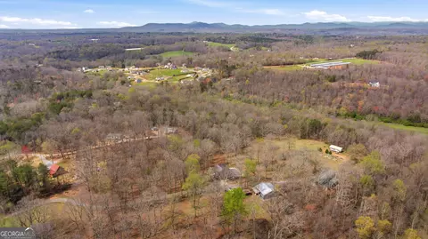 View/Area - 401 Herrin Rd, Cornelia, GA 30531 photo 4 of 6