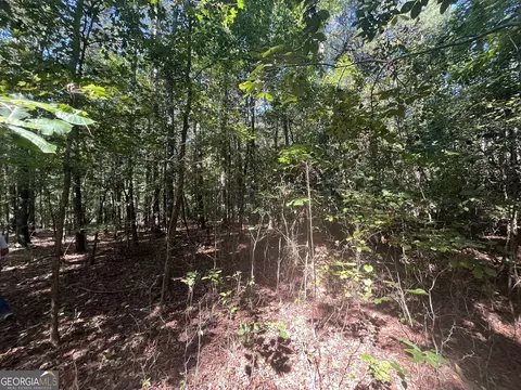 0 Mays Bridge Rd, Rome, GA 30165 photo 11
