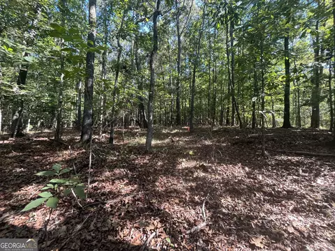 0 Mays Bridge Rd, Rome, GA 30165 photo 18