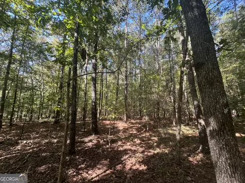 0 Mays Bridge Rd, Rome, GA 30165 photo 16