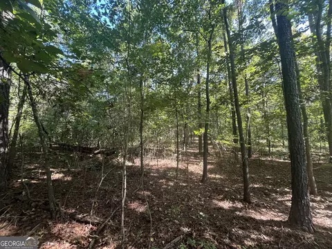 0 Mays Bridge Rd, Rome, GA 30165 photo 14
