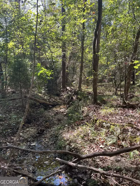 0 Mays Bridge Rd, Rome, GA 30165 photo 20