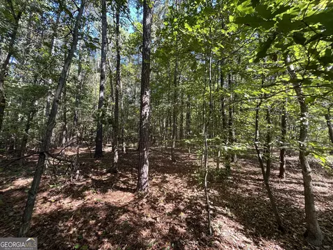0 Mays Bridge Rd, Rome, GA 30165 photo 26