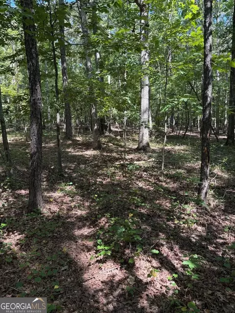 0 Mays Bridge Rd, Rome, GA 30165 photo 4