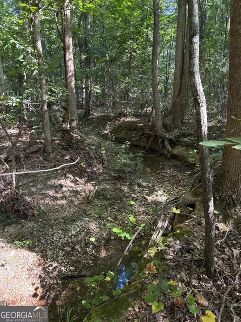 0 Mays Bridge Rd, Rome, GA 30165 photo 7