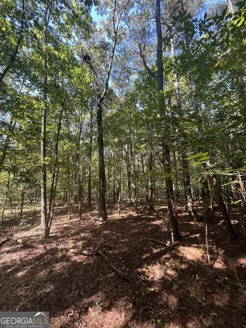 0 Mays Bridge Rd, Rome, GA 30165 photo 12