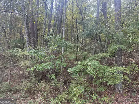 00 Carver Mill Rd, Talking Rock, GA 30175